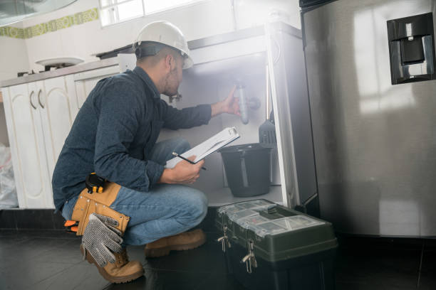 Best Plumbing Inspection Services  in Reed City, MI