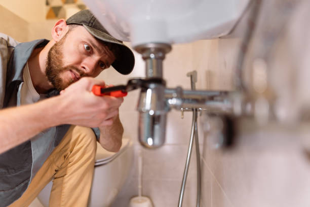 Best Plumbing Services Near Me  in Reed City, MI