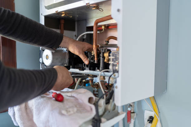 Best Clogged Drain Plumber  in Reed City, MI